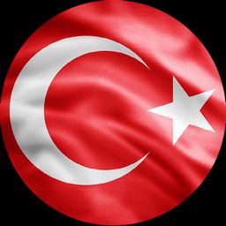 Türkiye logo on a BadgeFLEX digital car emblem