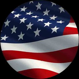 USA logo on a BadgeFLEX digital car emblem